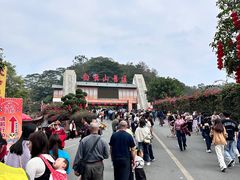 -白云山风景名胜区