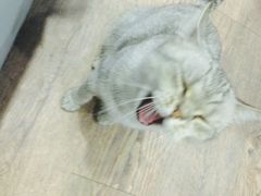 -小时光咖啡馆(开森度假森林店)