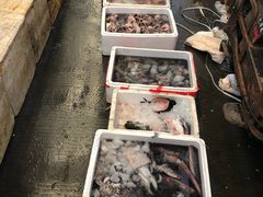 -众彩物流水产市场