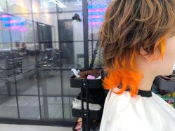 点击看大图 -SALON V