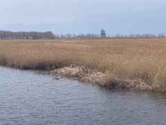 -野鸭湖国家湿地公园