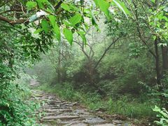 -阳台山自然风景区