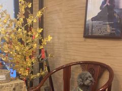 -升艾堂·经络·艾灸·气血(成山路店)