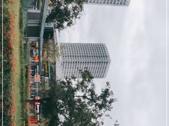 -万达广场(泰安泰山店)