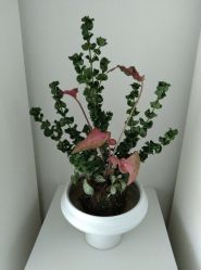 -颜蕾医美·黄金微针·水光·玻尿酸·超声炮·抗衰中心