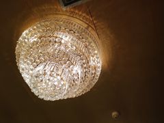 -九花山烤鸭店