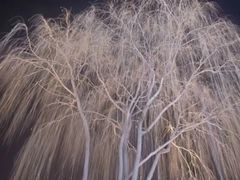 -芝麻糊世家(西华店)