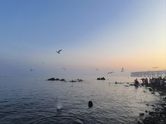 -傅家庄公园