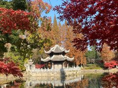 -习家池