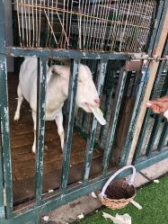 -小蜜蜂农场(凯德七宝购物广场店)