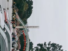 -南山植物园
