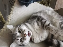 -行事老火锅(协信TOWN城店)