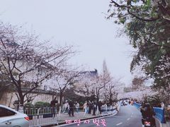 -鸡鸣赐茶(鸡鸣寺路店)
