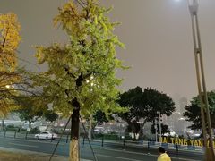 -张鸭子大酒楼(南滨路店)