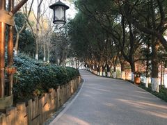 -天目湖山水园