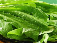 油麦菜-齐祺鱼锅.清真(兰考店)