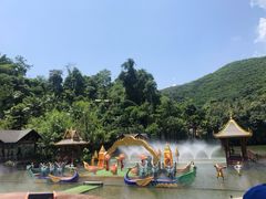-西双版纳原始森林公园