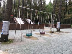 -黄海国家森林公园