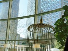 -Plush大堂酒廊(北京金融街威斯汀大酒店)