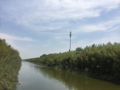 -黄海国家森林公园