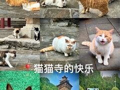 -四门塔风景区