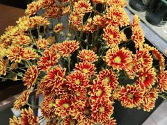 -旺顺阁·北京菜(北辰上品+)