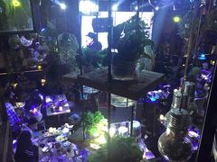 -胡桃里音乐酒馆(白云五号T5 MALL店)