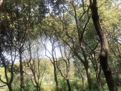 -新江湾城公园