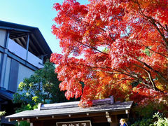 -常寂光寺