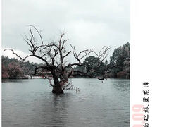 -黑龙潭公园