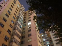 -人民防洪胜利纪念塔