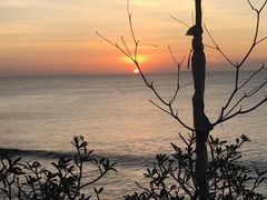 -Rock Bar Bali(Bali)