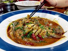 -张鸟园农家乐(张鸟园店)
