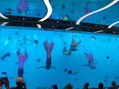-瑞德姆美人鱼海底演艺主题餐厅(亚龙湾店)