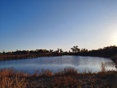 -金塔沙漠胡杨林景区