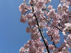 -梁鸿国家湿地公园