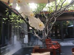 景观位-京兆尹(雍和宫店)