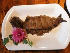 -老雒阳面馆·水席(洛宁高速路口店)