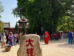 -大槐树寻根祭祖园