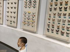 -陕西自然博物馆