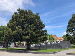 -墨尔本博物馆(Melbourne Museum)
