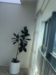 -HEYAN荷妍专业脱毛连锁机构