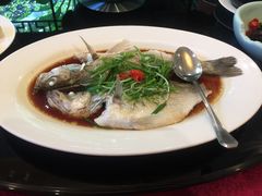 -十八棵（老龙井）御茶园(老龙井店)