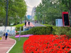 -北外滩滨江绿地