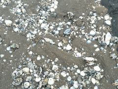 -东疆建设开发纪念公园