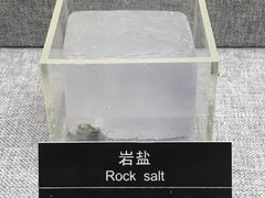 景点-甘肃地质博物馆