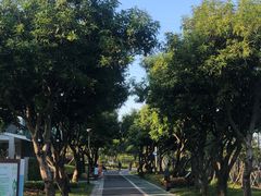 -王借岗森林公园