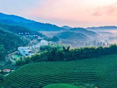-莫干山风景区