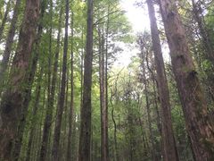 -山王坪喀斯特国家生态公园