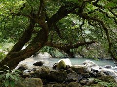 -广州市石门国家森林公园